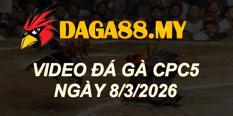 VIDEO GÀ CPC5 NGÀY 8/3/2026